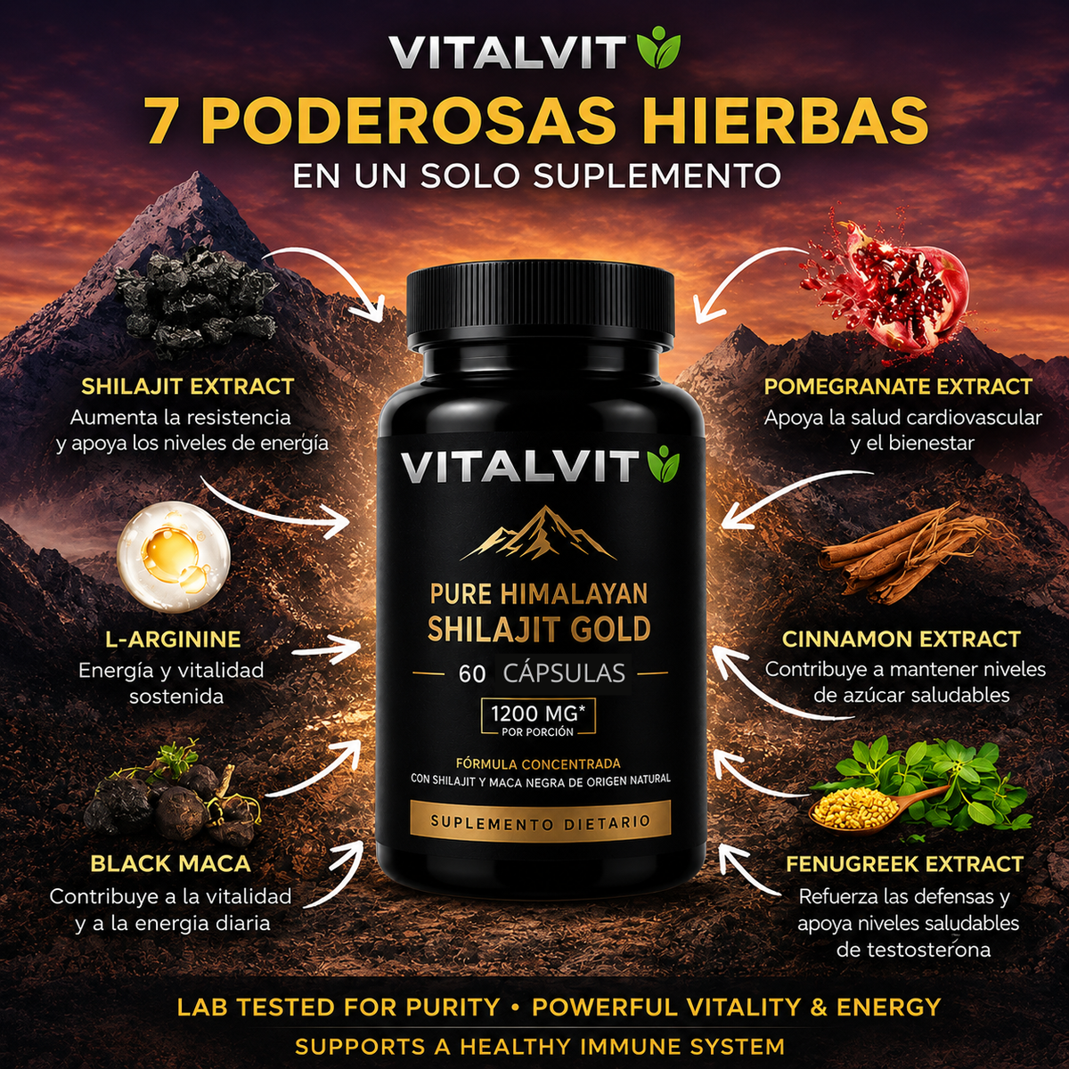 Shilajit Gold™ | Potencia Natural Masculina